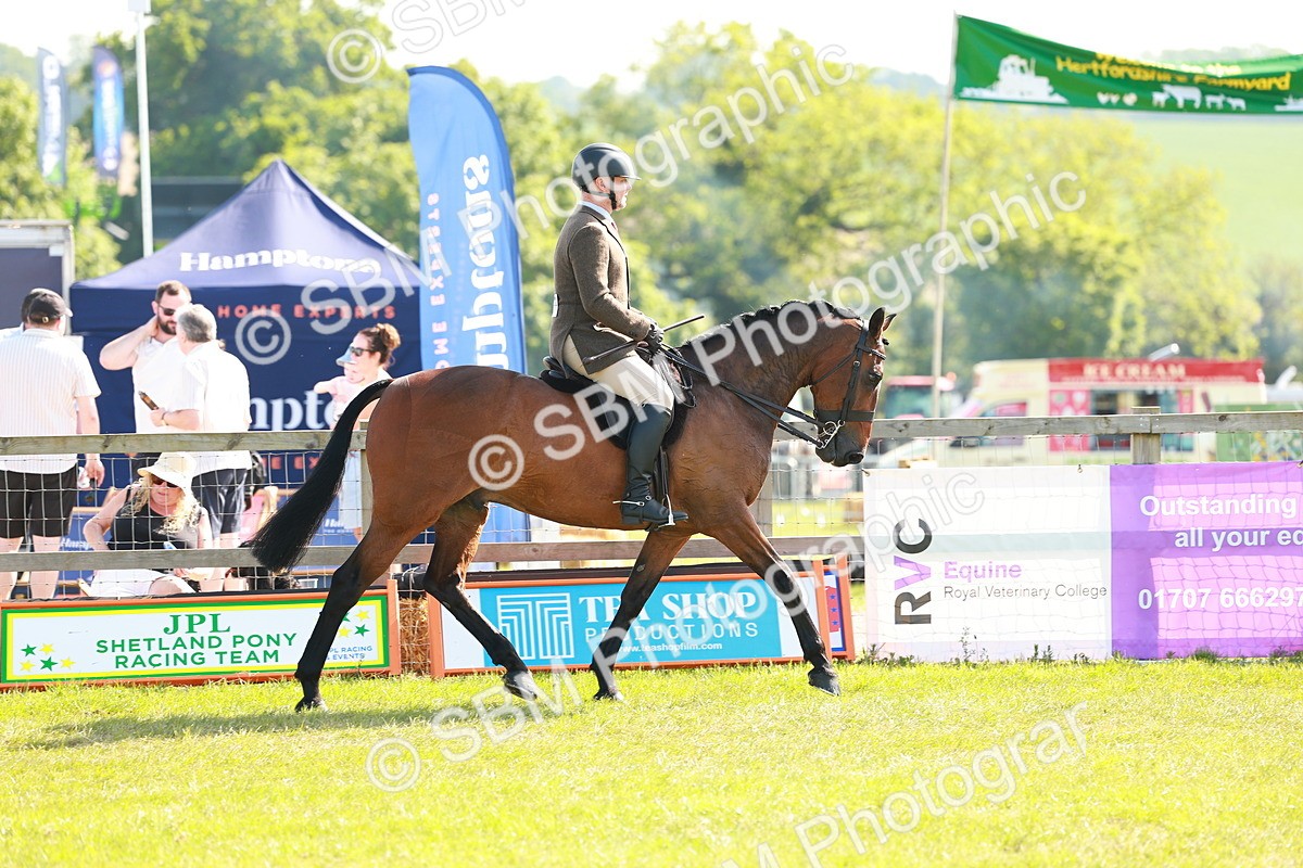 SBM_12021 - Class 66-69 - RIHS Ridden Hunters Inc Small Hunter