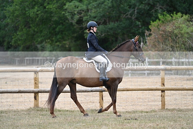 WJ7_0748 - Class 7 Riding Club Show Horse