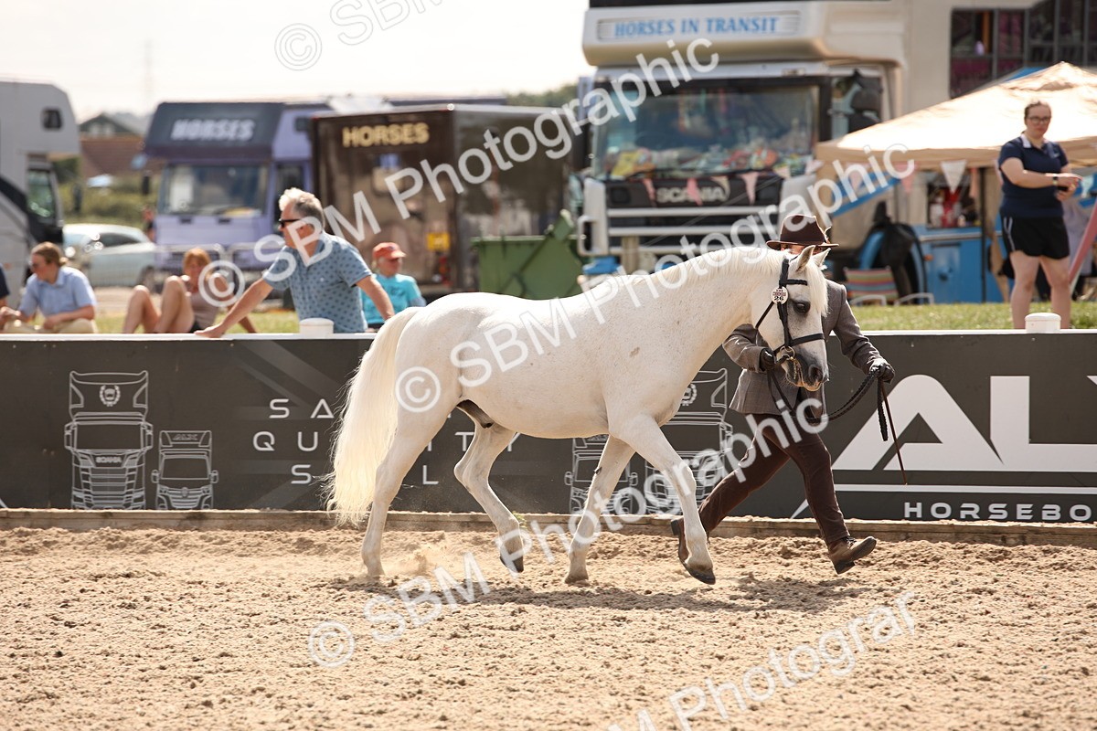 SBM_04585 - Class 20 IH Veteran