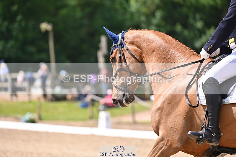 250523A-113453-06581 - C-273-Tim.Cheffings-HEARSAY.LARK.RISING