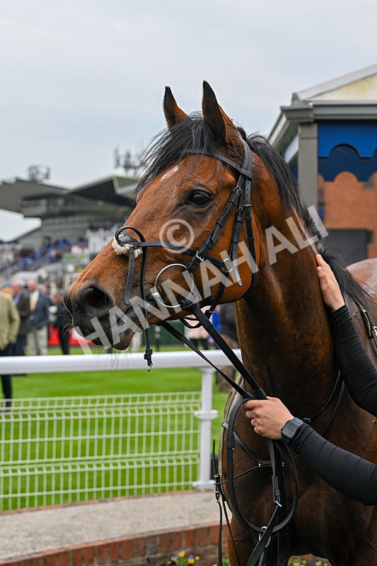 140524-Race 4-Bella Kopella-2259 - Race 4