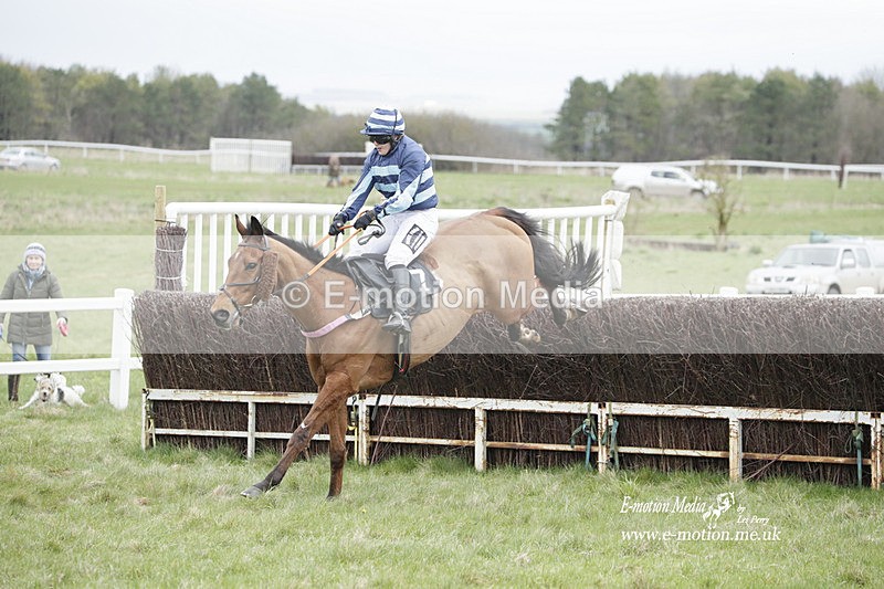 PtP 260323 0516 - New Forest Hounds Point-to-Point Larkhill 26/03/23