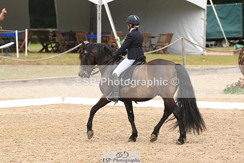 250719A-143533-06421 - 044-Deborah.Randall-Esplendido