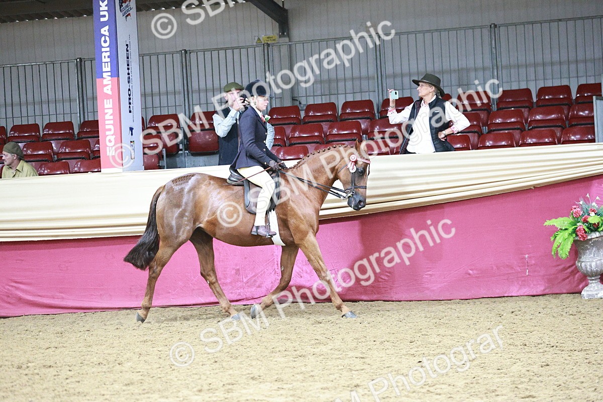 SBM_03337 - Class 6A Area Ridden Pre-Vet