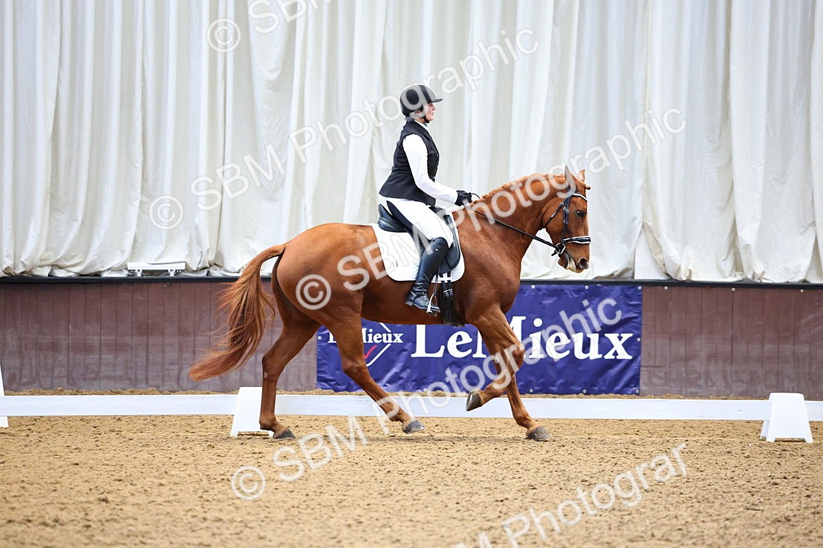 SBM_003751 - Class 14-15 - Novice 5 Novice 6