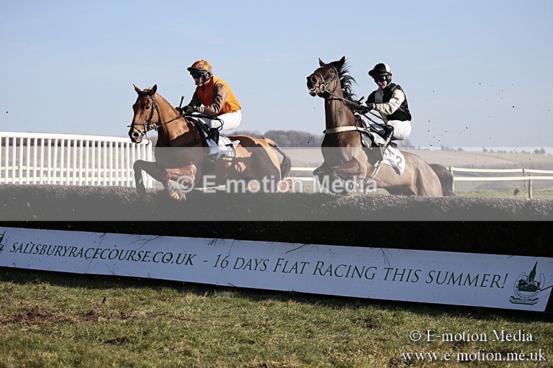 PtP 240218 486 - Vine & Craven Hunt Point-to-Point Barbury racecourse 24/02/18