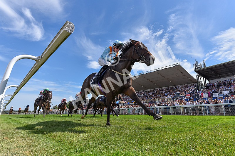 120826-Race 1-Lexington Boom-4777 - Race 1 14.15pm Macan At Porsche Centre Hull EBF Restricted Novice Stakes