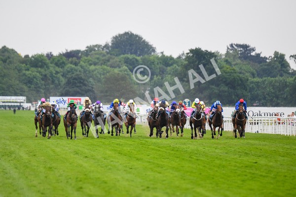 170623-Race 4-Quinault-0595 - Race 4 3.40pm Oakmere Homes Supporting Macmillan Sprint Handicap