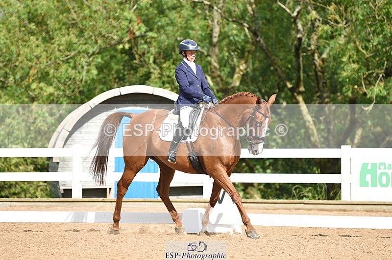 230912A-111028-00523 - Cls 7 Elementary 40