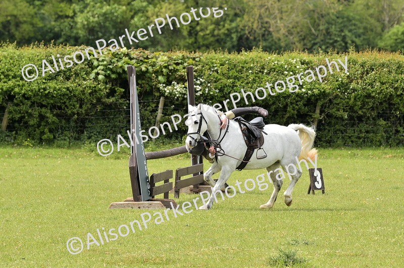 20260426-2413 - Class 21 - Working Hunter Ponies