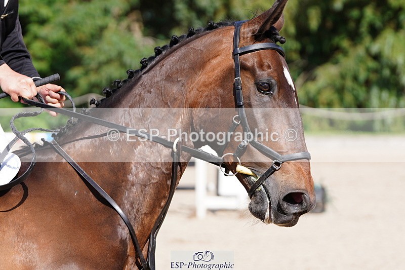 250615A-162040-11988 - Class 49 1m 05 Amateur Qualifier Snr 1m 05