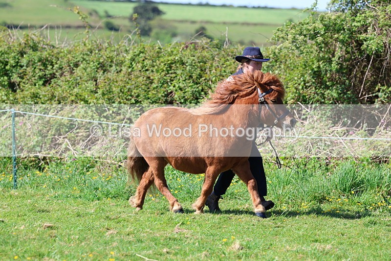 3E7A9343 - Class 16: Best Grass Kept