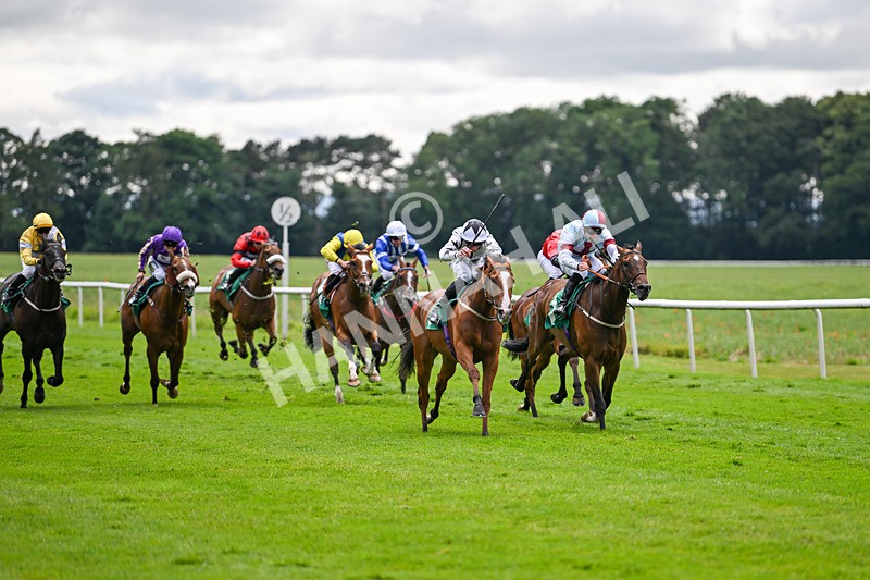 030724-Race 5-Petra Celera-0843 - Race 5