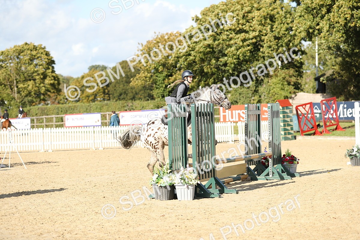 SBM_49622 - J22 - Junior Horse 65cm Championship
