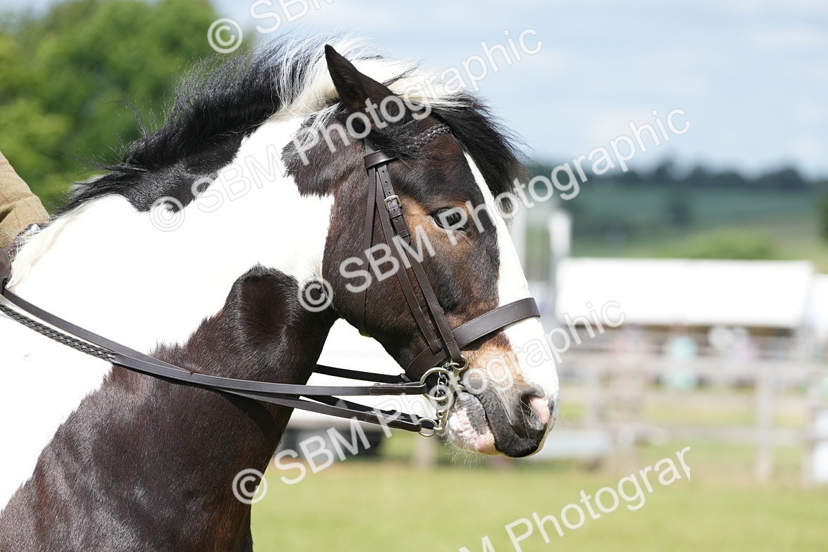SBM_17285 - Class 107-108 - LIHS BSPS Performance Coloured Horse Pony