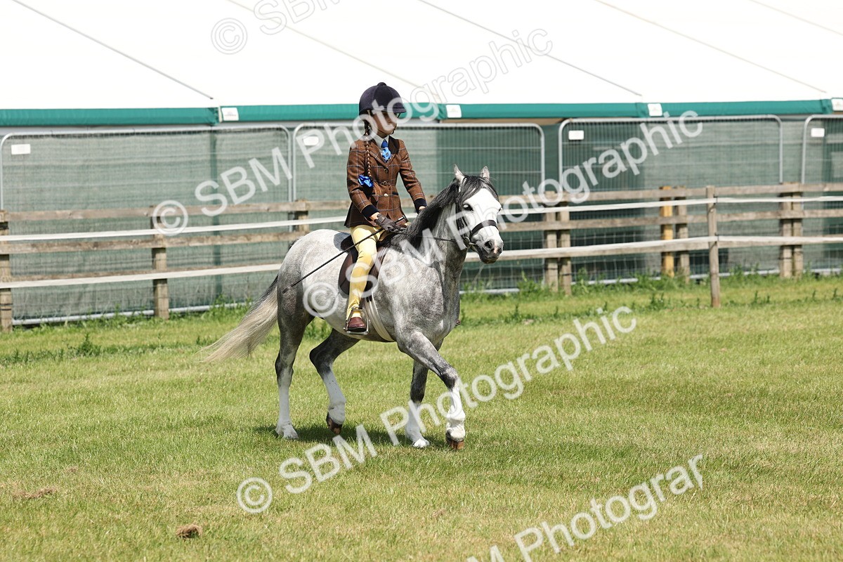 SBM_05349 - Class 24-25 - Mountain & Moorland In Hand Lead Rein and First Ridden