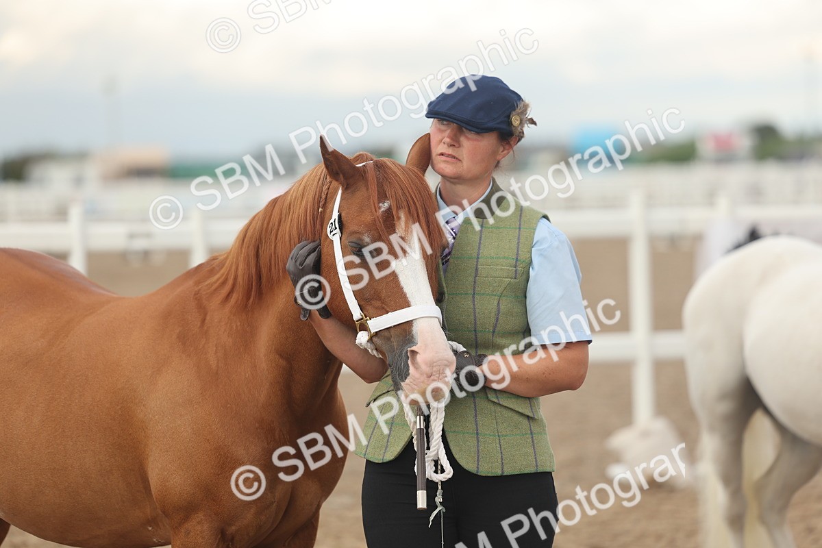 SBM_08543 - Class 29 - IH Veteran Pony