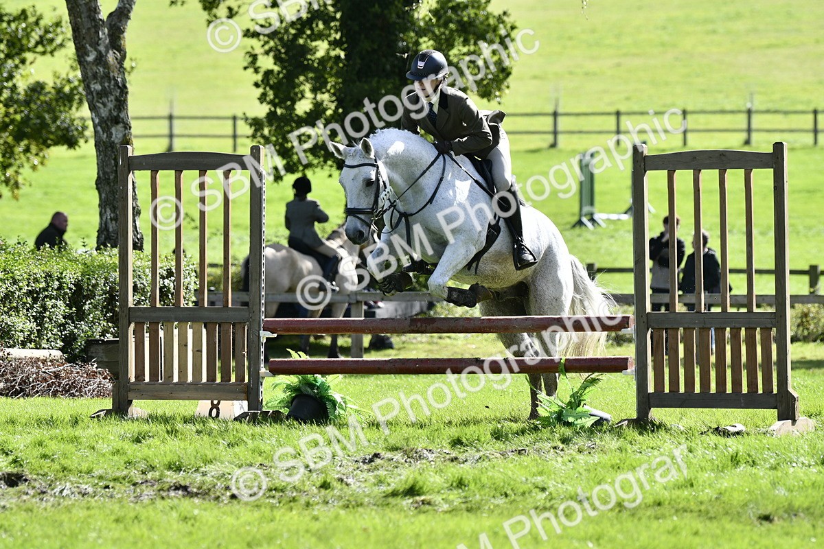 SBM_45742 - S33 - Working Hunter Pony