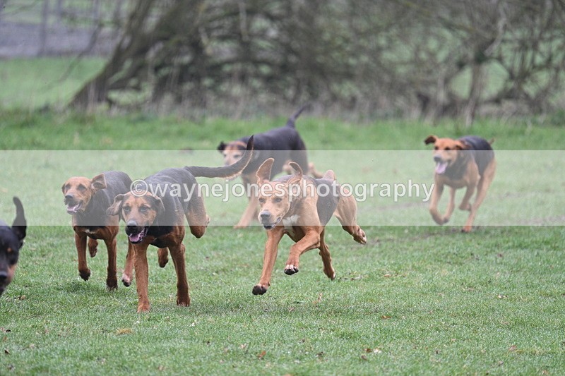 WJ7_0053 - Line 1 cam A