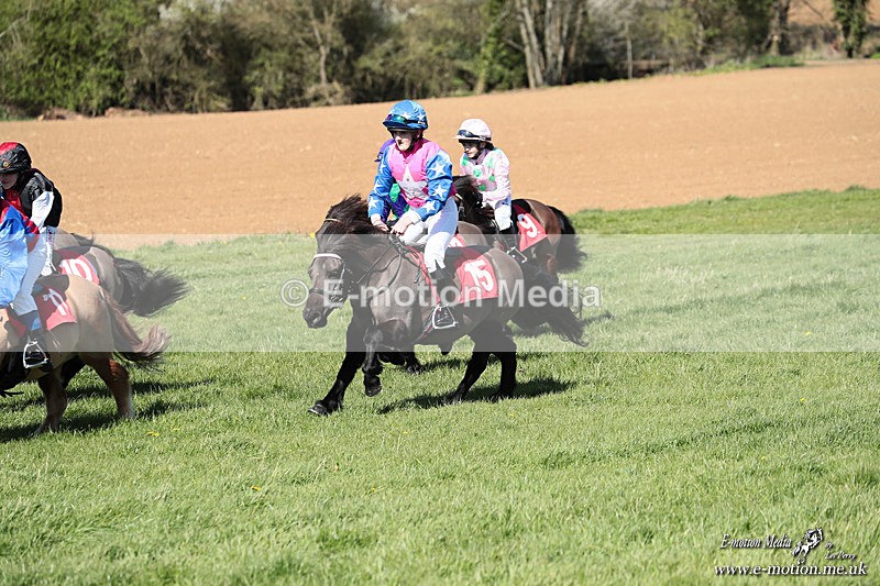 Shet 060426 293 - Shetland Pony Racing Paxford Races Easter Mon 06/04/26