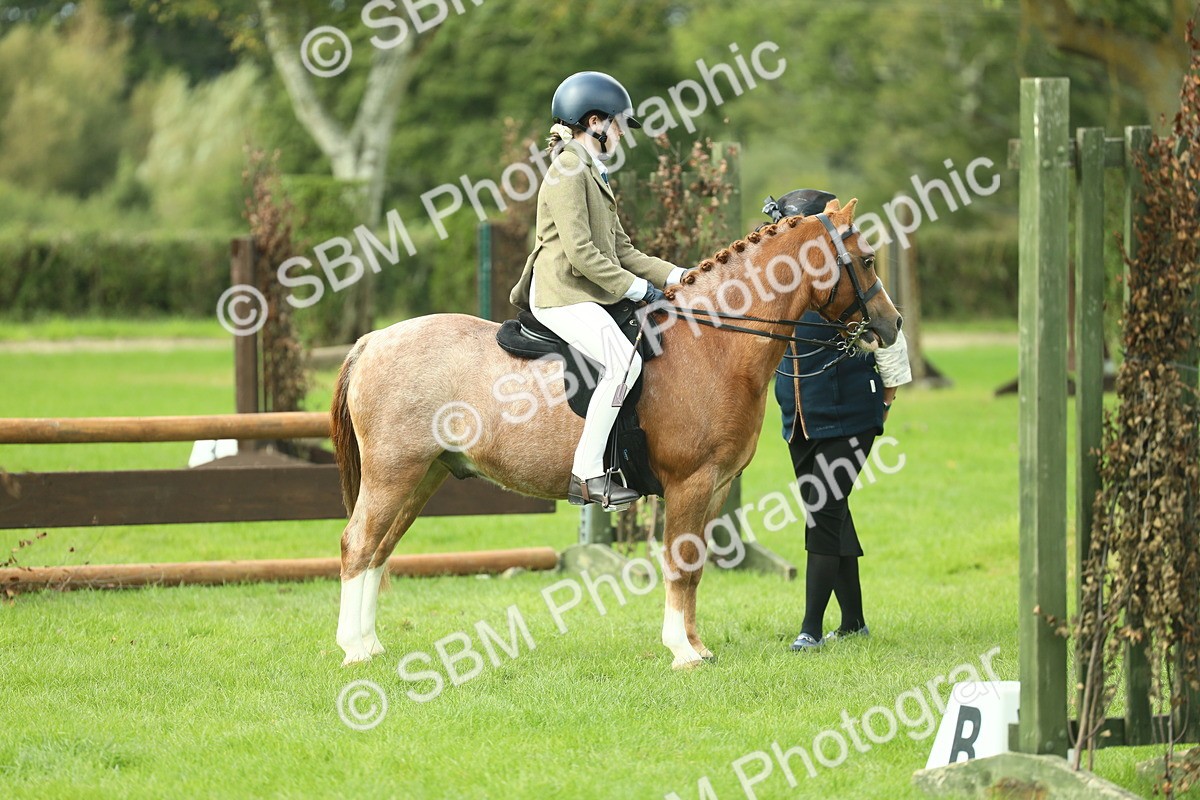 SBM_44659 - S31 - Working Hunter Pony