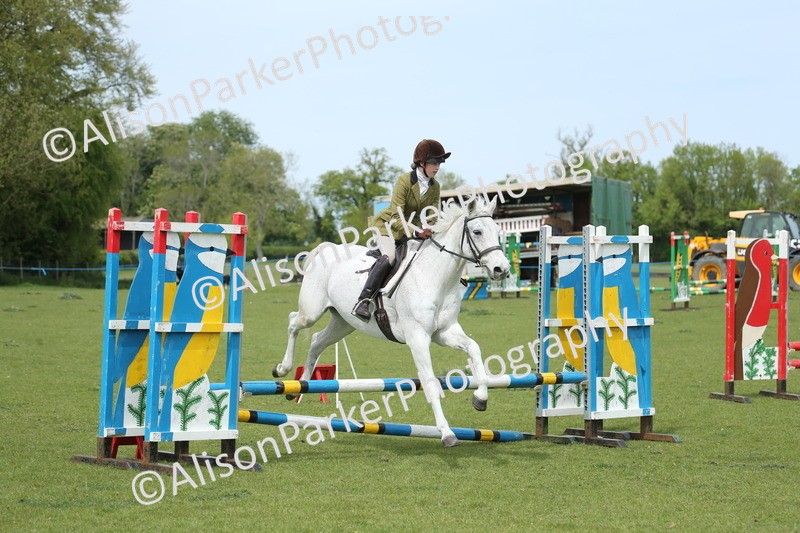 20260426-2057 - Class 15 - Absolute Novice 70cm