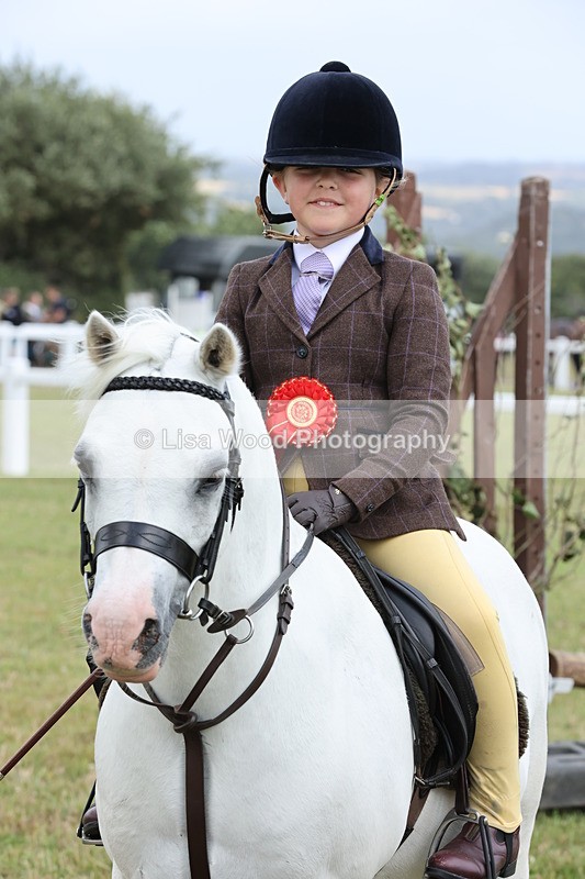 JPP_1981 - Class 18: Tiny Tots Working Hunter Pony