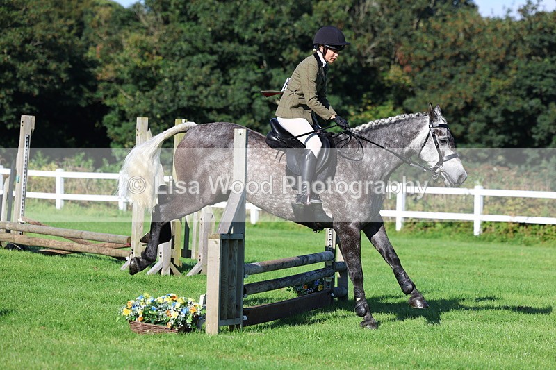 3E7A7539 - Class 1: Novice Working Hunter Pony