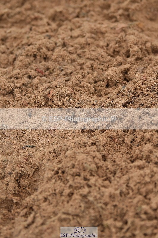 231118A-145138-03703 - Cls 27 Springboard 128cm & 138cm