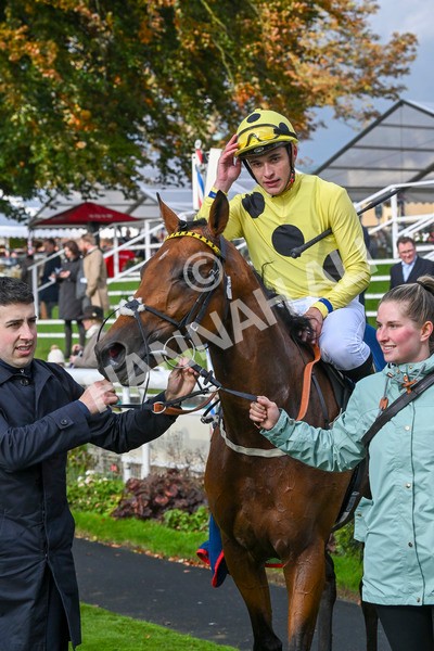 121024-Race 2-Bolster-2856 - Race 2 2.05pm Coral Daily Rewards Shaker Handicap