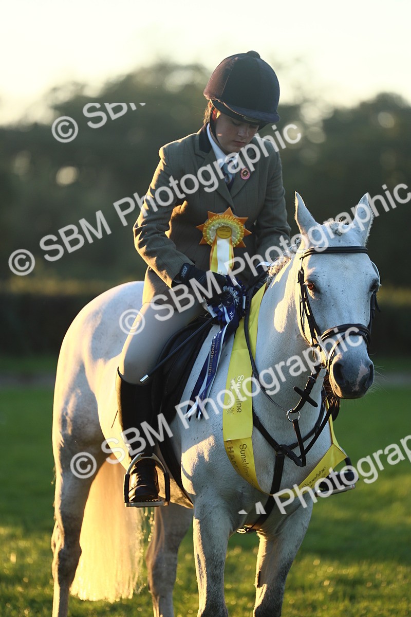 SBM_56687 - Fun & Versatile Supreme Championship