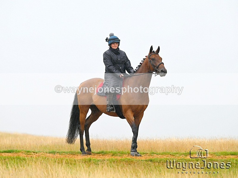 DSC_1177 - edited examples