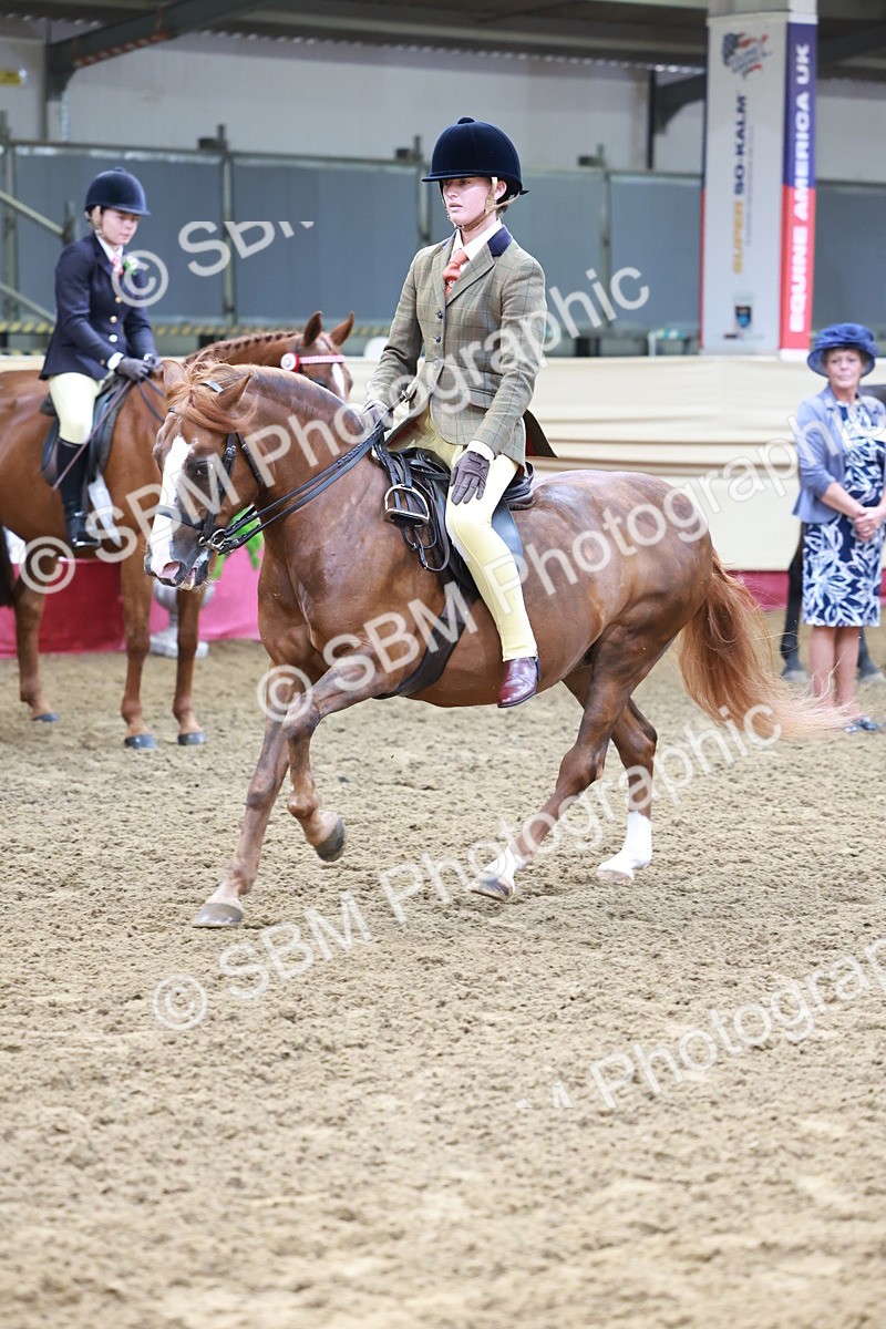 SBM_11916 - Class 102 - Equitation (Best Rider) Adult