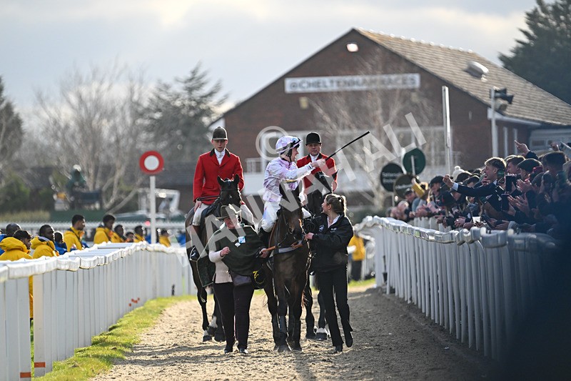 110325-Race 5-Golden Ace-3303 - 11th March