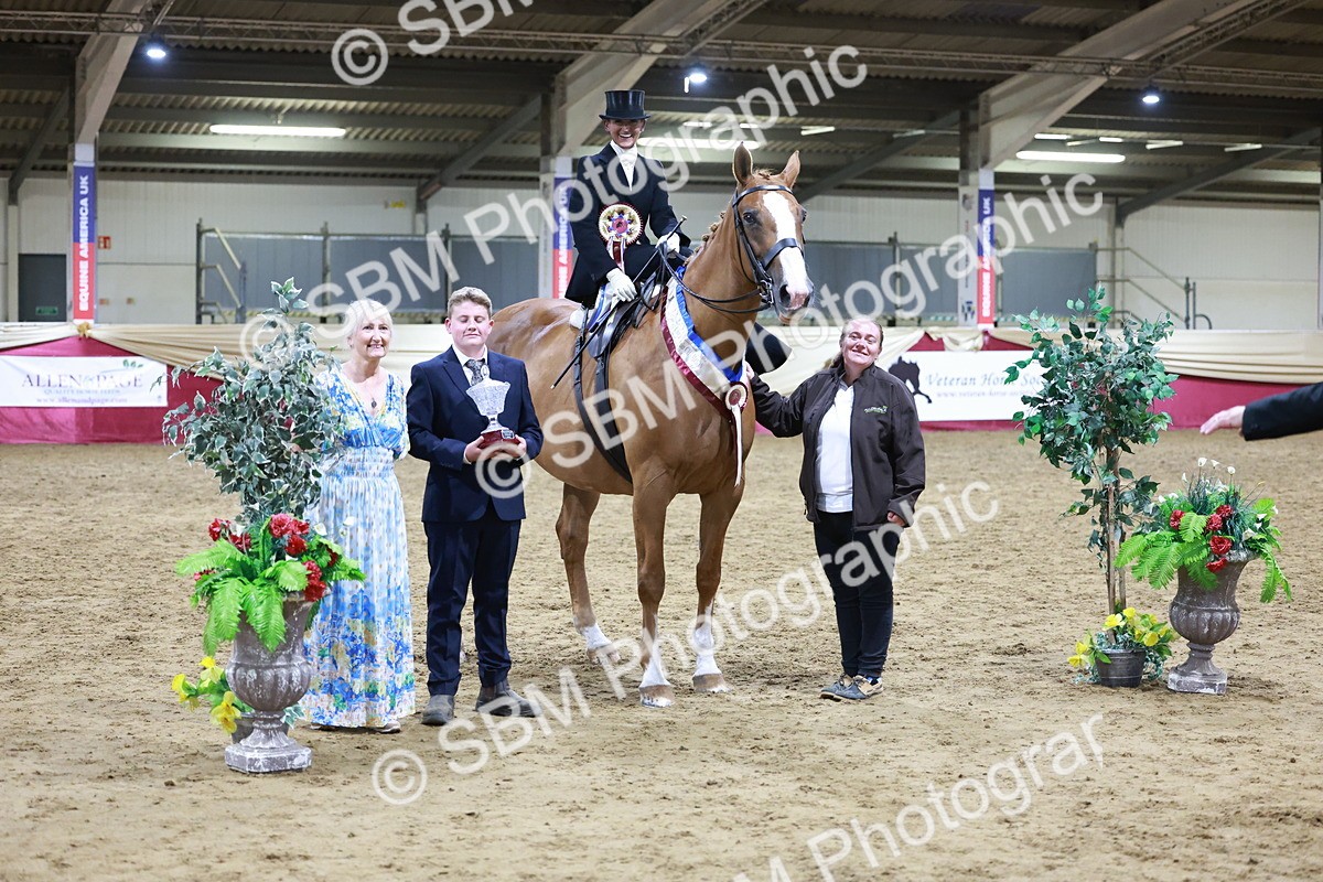 SBM_20961 - Class N - Side Saddle Champ