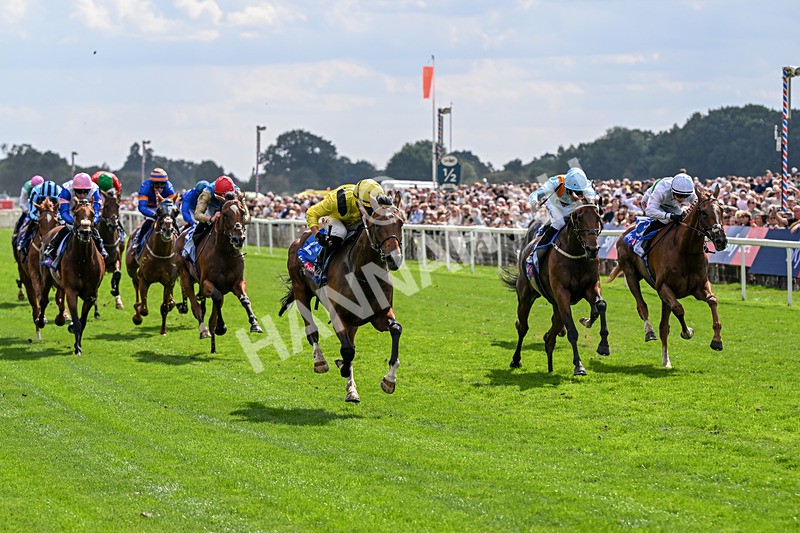 220826-Race 2-Infraad-9770 - Race 2 14.25pm Sky Bet Melrose Handicap