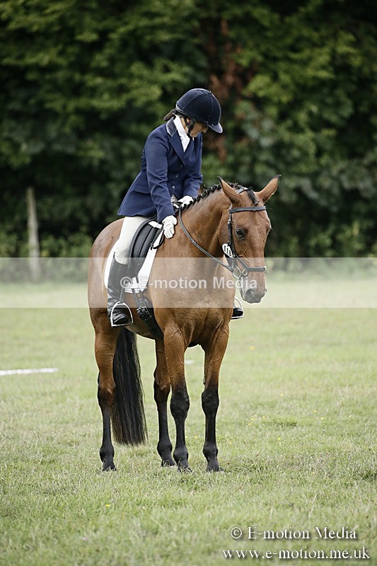 BVR090918 337 - BVRC Dressage and Show Jumping 09/09/18
