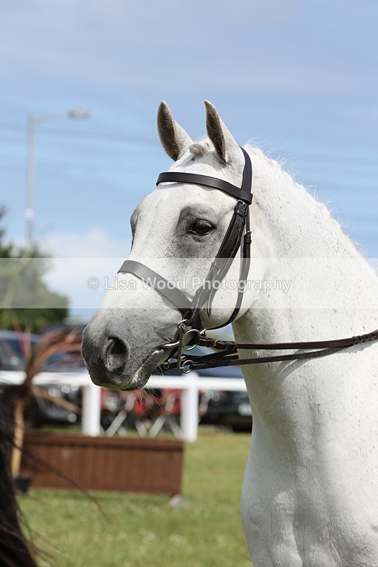 JPP_1550 - Class 17: Cornish Combination Open