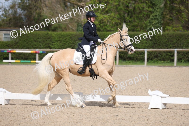 20260405-0206 - Class 3 - Novice 5