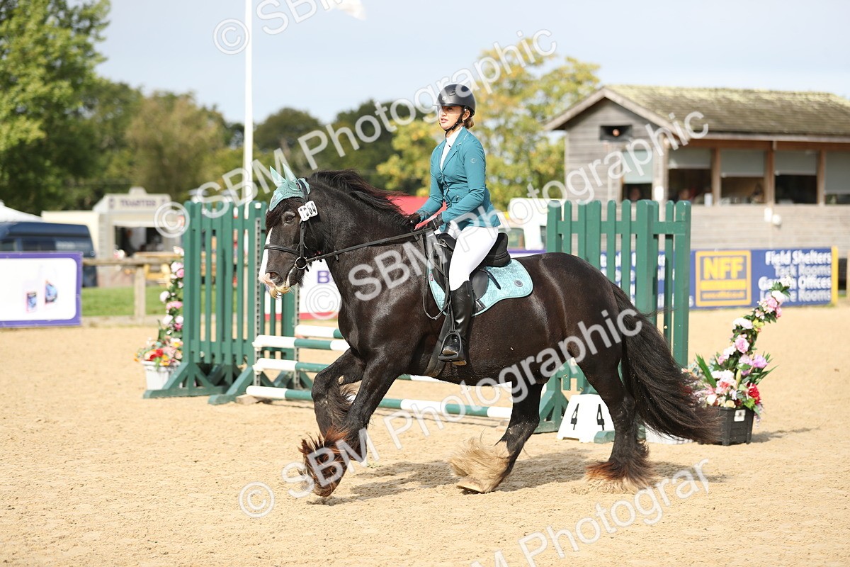 SBM_03150 - J28 - Senior Horse & Pony 60cm Championships