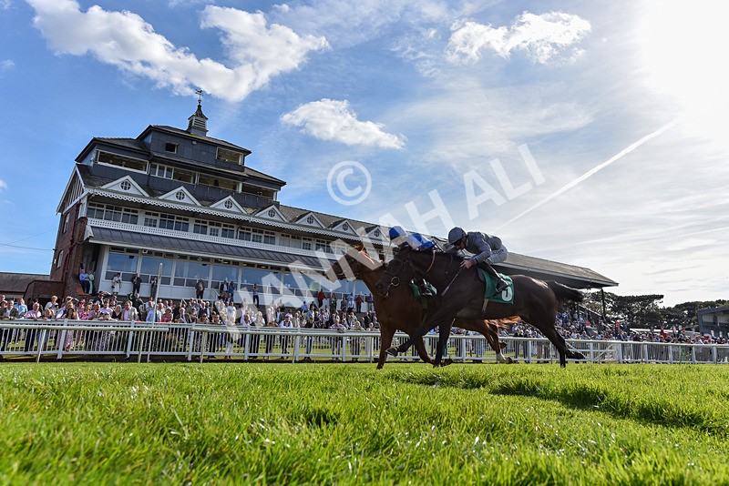 160924-Race 4-Watching Stars-6642 - Race 4