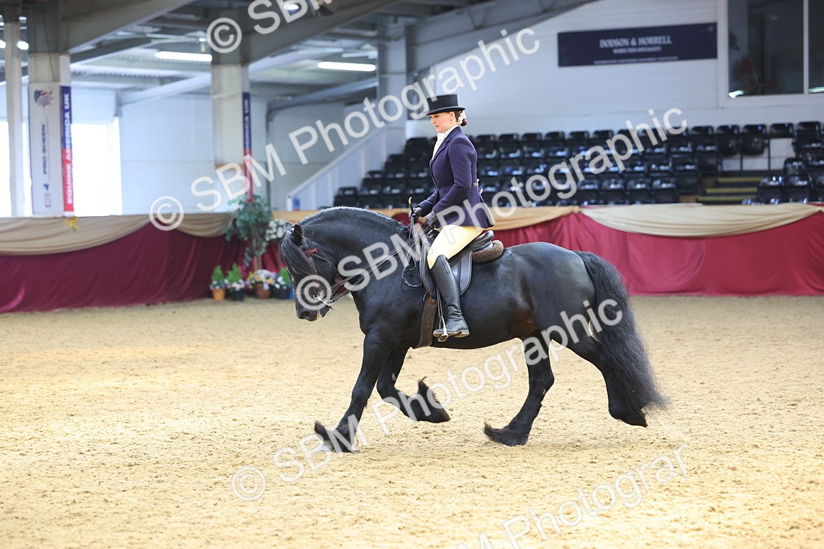 SBM_24097 - Class 905 - Supreme Final - Ridden Veteran