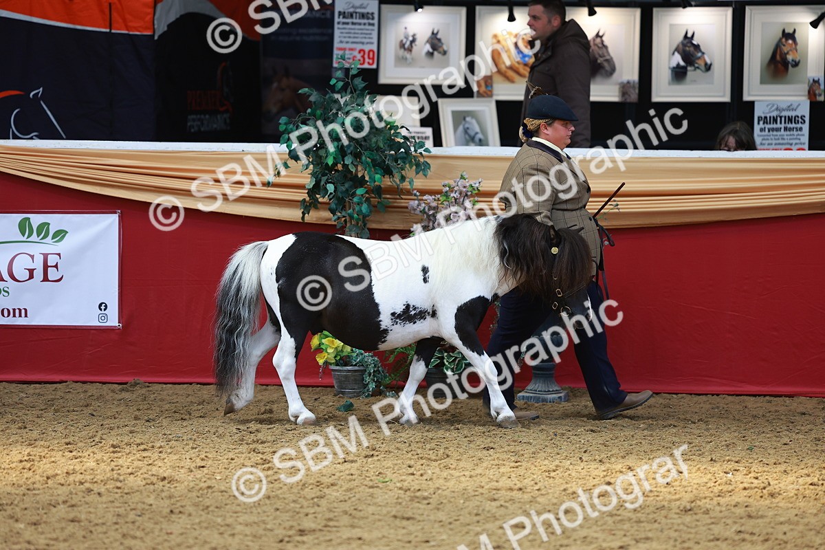 SBM_04173 - Class 9R - IH Pre-Vet