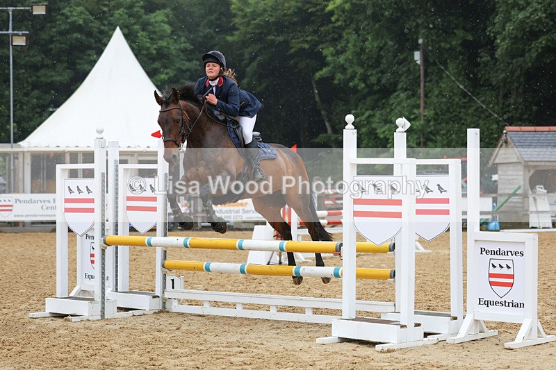 3E7A5396 - Class 4: Senior British Novice/90cm open