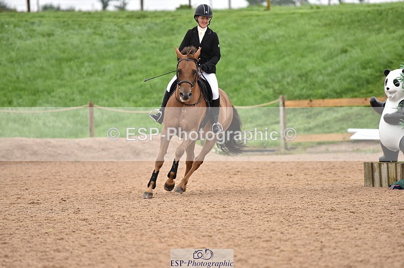 230808A-161008-00138 - 70cm