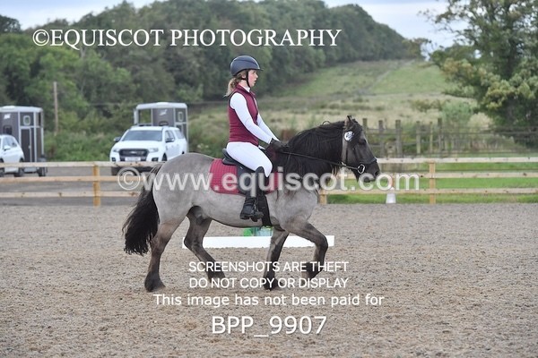 BPP_9907 - PRELIM 3