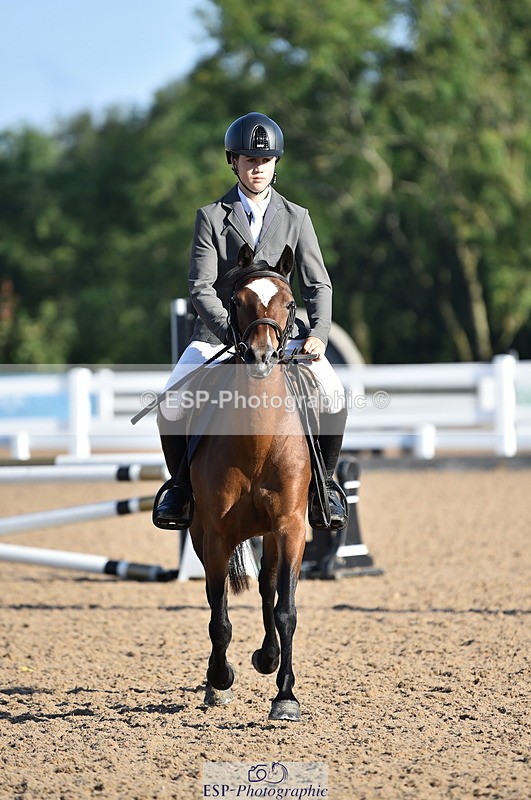 230903A-085610-03410 - Cls 17 Pony Intro 75cm