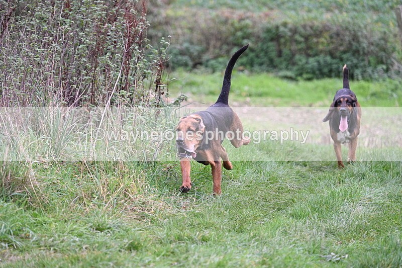 WJ7_8911 - Camera 1 only on this line