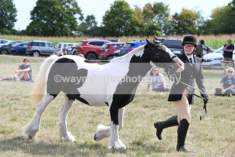 WJ6_6632 - Class 20 In-hand Cob