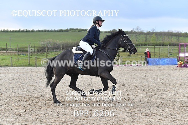 BPP_6206 - CLASS 29 SUN Club/ Unaffiliated 80cms Open